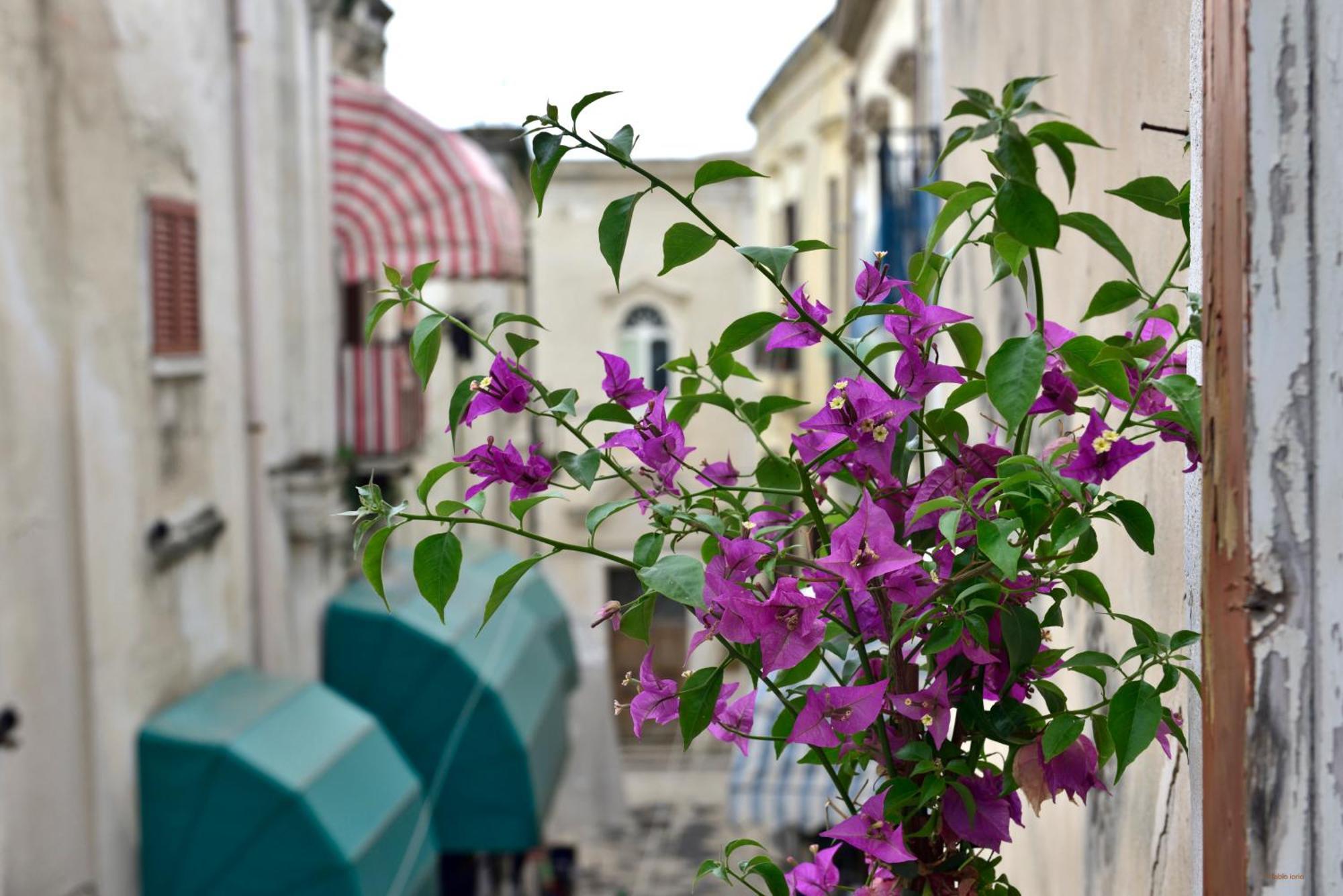 Ciaobari Apartment - Elegant 4 Bedrooms In The Heart Of Old Town Extérieur photo